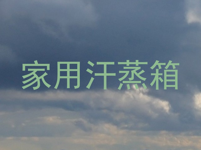 家用汗蒸箱
