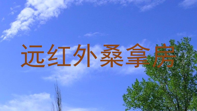 远红外桑拿房