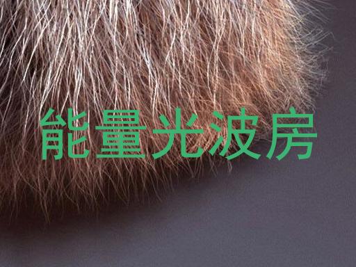 能量光波房