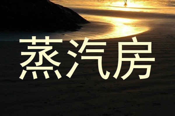 蒸汽房