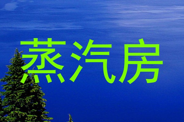 蒸汽房