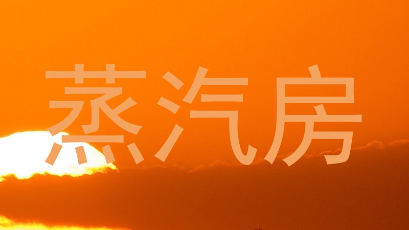 蒸汽房