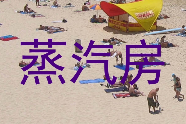 蒸汽房