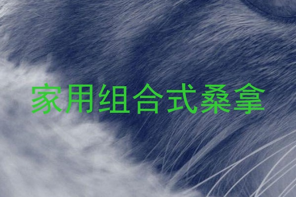 家用组合式桑拿