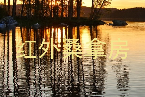 红外桑拿房