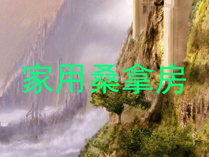 家用桑拿房