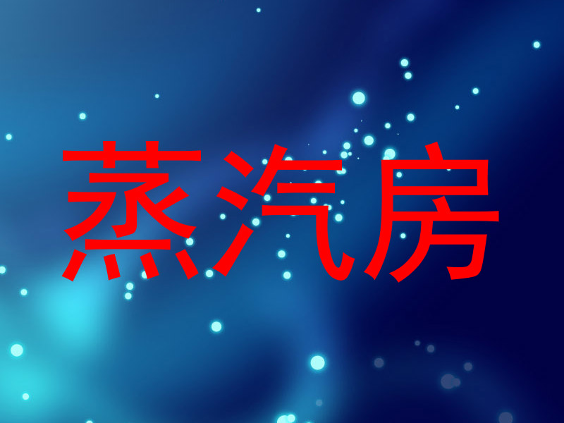 蒸汽房