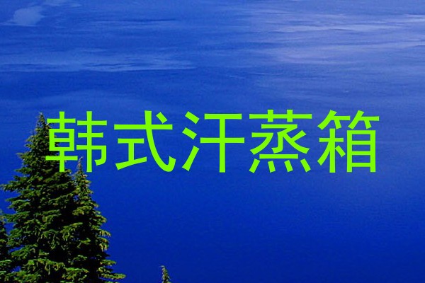 韩式汗蒸箱