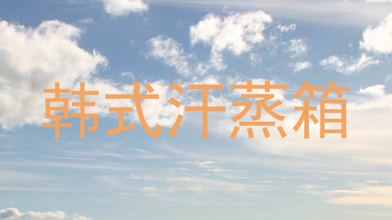 韩式汗蒸箱