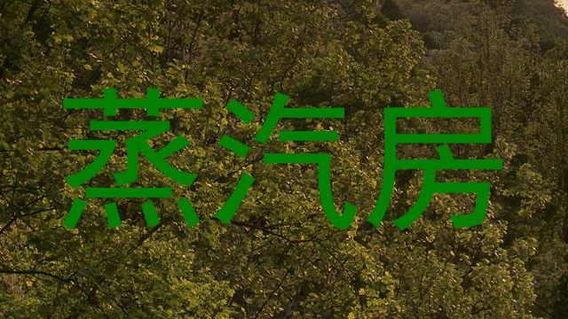 蒸汽房
