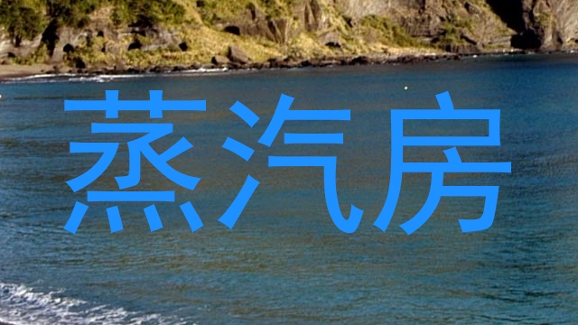 蒸汽房