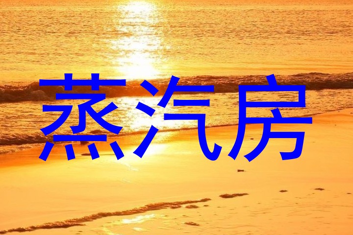 蒸汽房