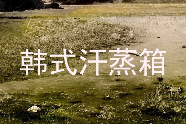 韩式汗蒸箱