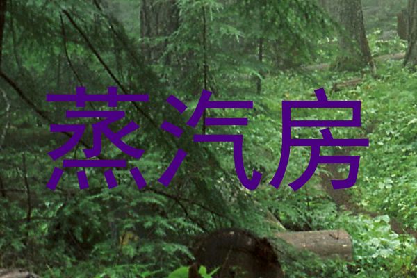 蒸汽房