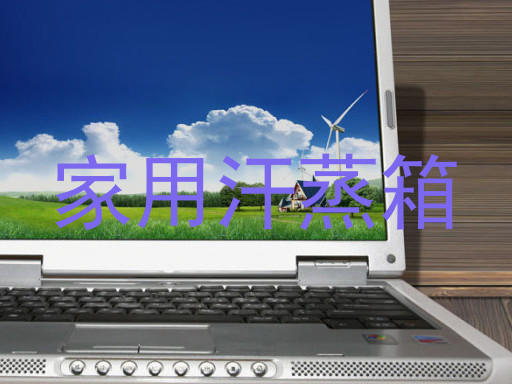 家用汗蒸箱