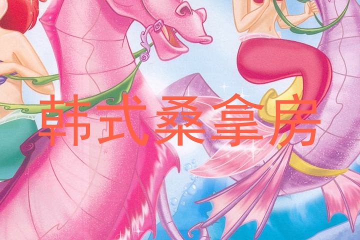 韩式桑拿房