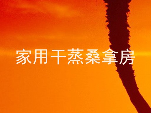 家用干蒸桑拿房