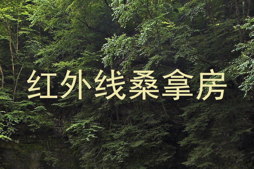 红外线桑拿房