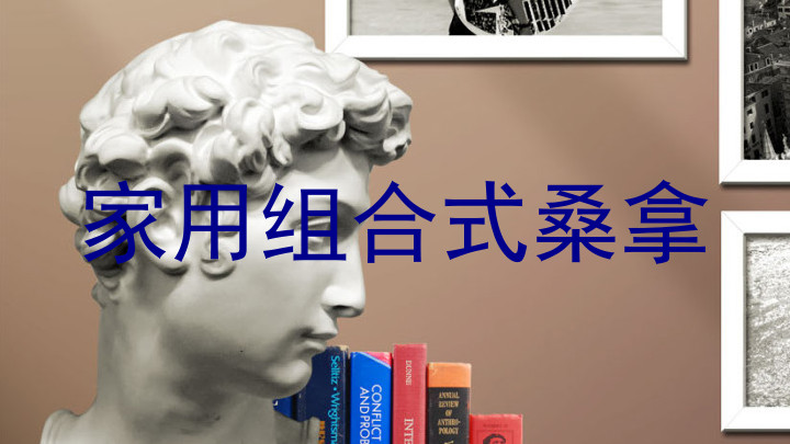 家用组合式桑拿