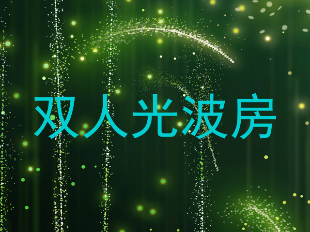 双人光波房