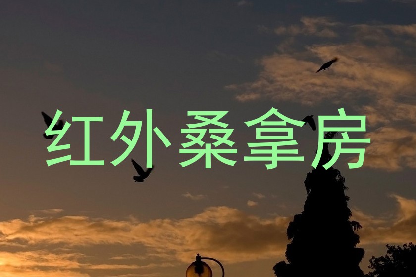 红外桑拿房