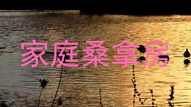 家庭桑拿房
