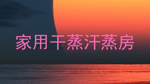 家用干蒸汗蒸房