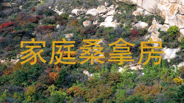 家庭桑拿房