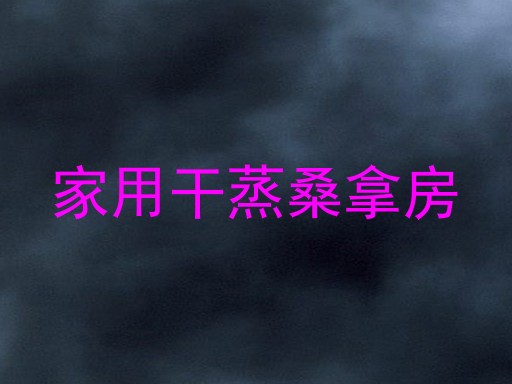 家用干蒸桑拿房