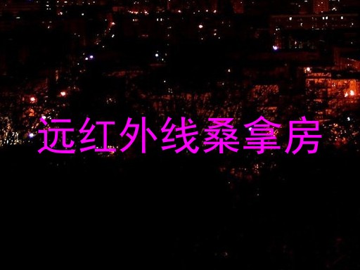 远红外线桑拿房