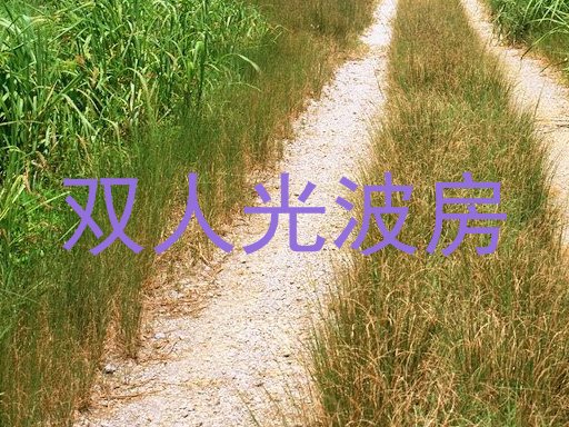 双人光波房