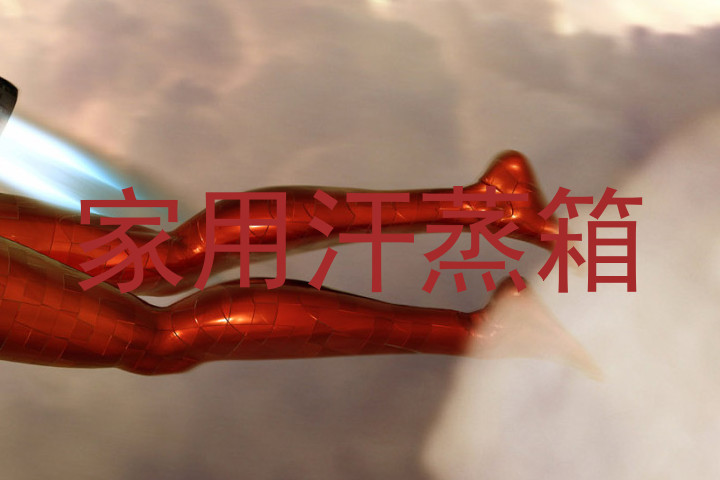 家用汗蒸箱