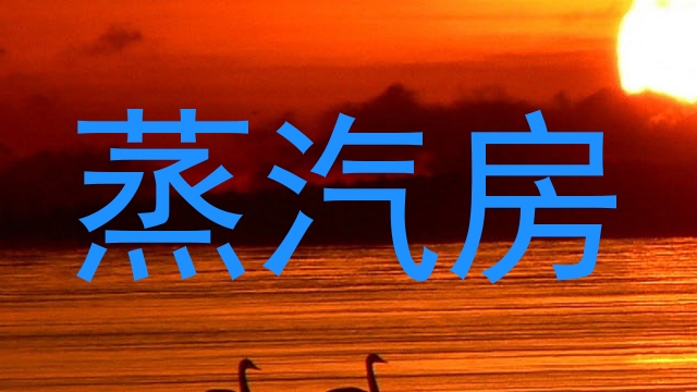 蒸汽房