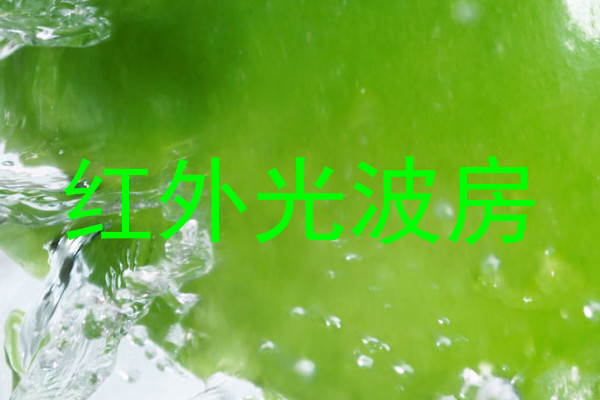 红外光波房