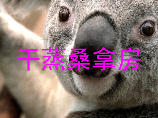 干蒸桑拿房