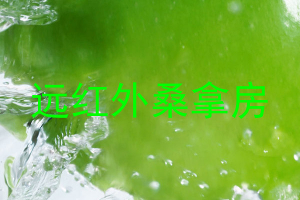 远红外桑拿房