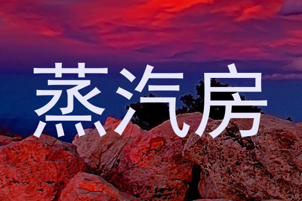 蒸汽房