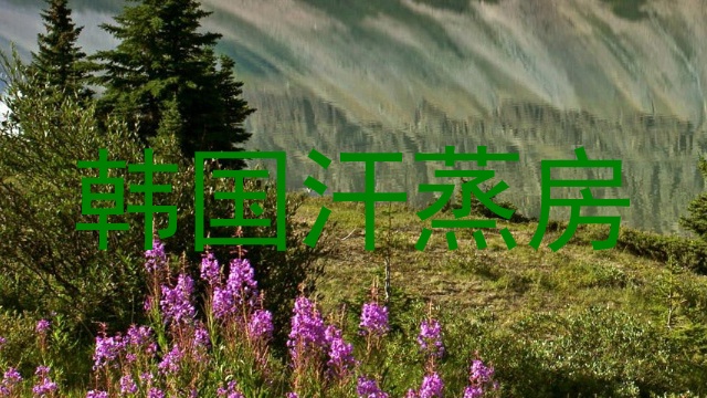 韩国汗蒸房