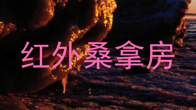 红外桑拿房