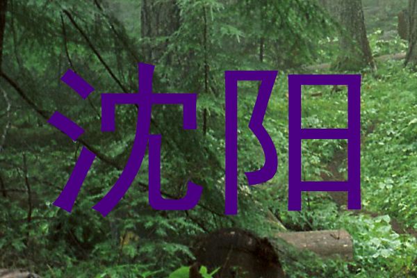 沈阳