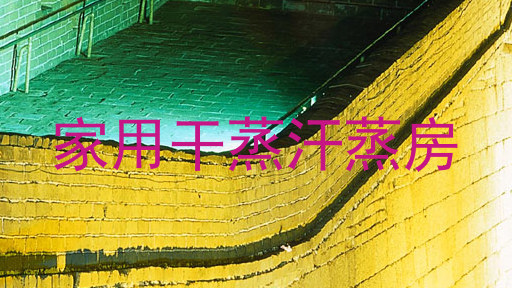 家用干蒸汗蒸房