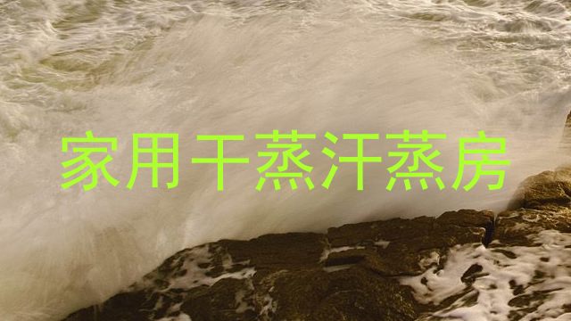 家用干蒸汗蒸房