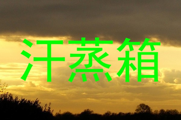 汗蒸箱