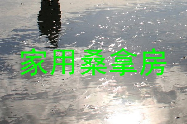 家用桑拿房