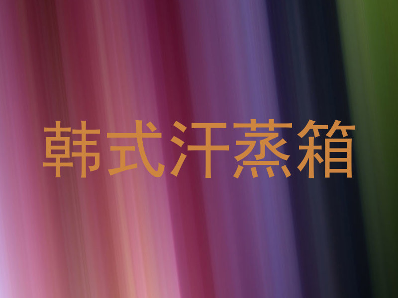 韩式汗蒸箱