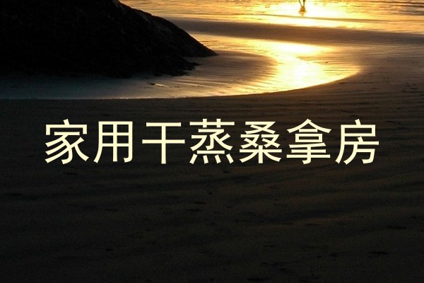 家用干蒸桑拿房