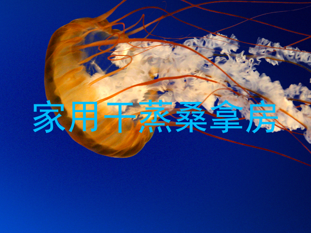 家用干蒸桑拿房