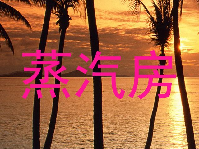 蒸汽房