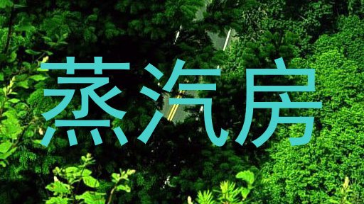 蒸汽房