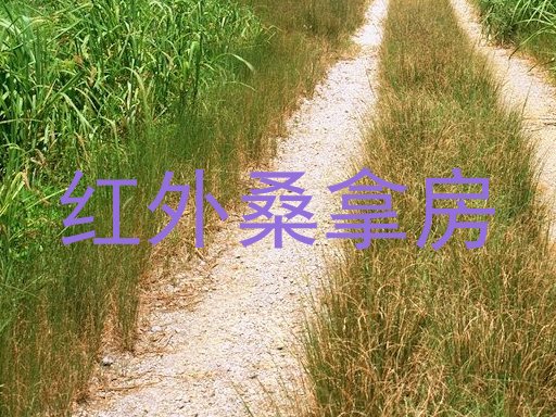 红外桑拿房